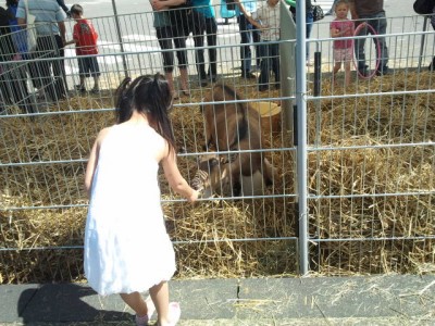 20110508_14.47.40_400 20110508_14.47.40_400