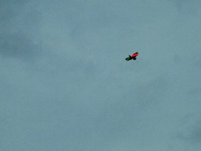 20120802_21.05.52_400 20120802_21.05.52_400