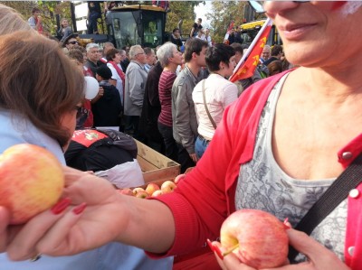 alsace_fruits_offered_to_the_people_400