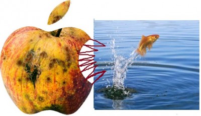 bad_old_apple_v._good_baby_fish__400 bad_old_apple_v._good_baby_fish__400