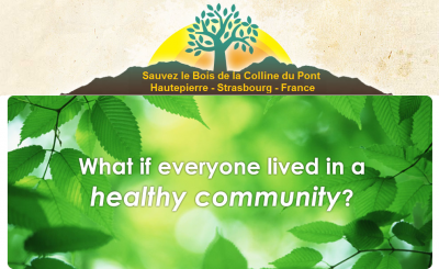 chph_sauvez_le_bois_de_la_colline_du_pont_logo_inspired_from_whats_your_tree_400