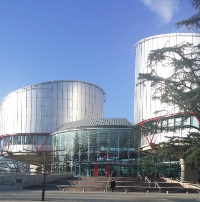 echr__light_eurofora_400