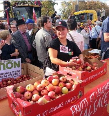 elsass_fruits_400 elsass_fruits_400