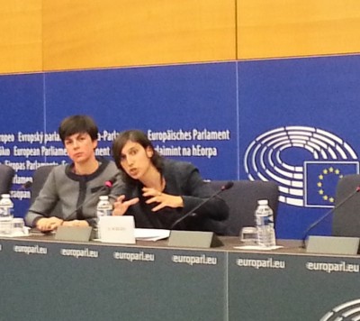 euparliaments_rapporteur_on_tax_evasion_mep_schlein_replies_to_agg_quest_400 euparliaments_rapporteur_on_tax_evasion_mep_schlein_replies_to_agg_quest_400