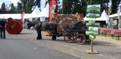 eurofair_2020_agricultural_area_horse_fruitsvegetables_eurofora_400