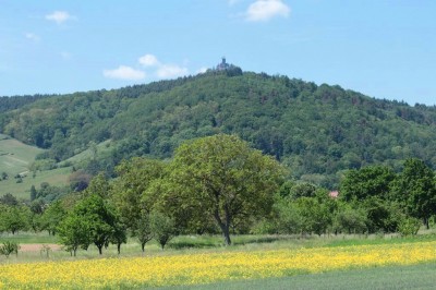 haut_koenigsburg_castle_in_alsatian_countryside_bracker__eurofora_400