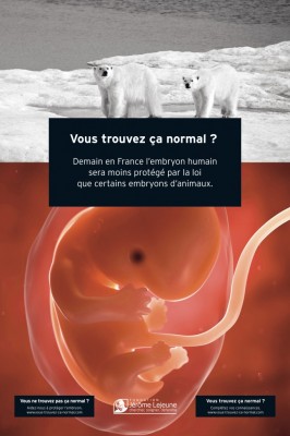 human_embryo_less_protected_than_that_of_certain_animals_fondationlejeune_2013_400 human_embryo_less_protected_than_that_of_certain_animals_fondationlejeune_2013_400