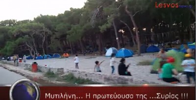 imi_lesvosnews_camping_at_seaside_forest_parc_free...._400 imi_lesvosnews_camping_at_seaside_forest_parc_free...._400