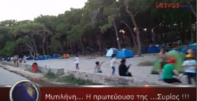 imi_lesvosnews_camping_at_seaside_forest_parc_free...._400