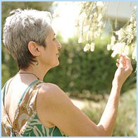 joan__trees_leafs joan__trees_leafs