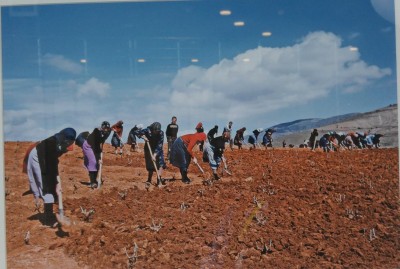 karplus_photo_fartmers_at_the_fifties_400