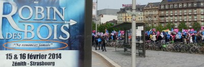 manif_stras__robin_de_bois_400 manif_stras__robin_de_bois_400