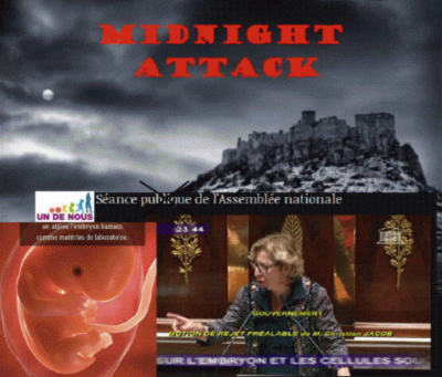 midnight_attack_v._human_embryo__fioraso_400