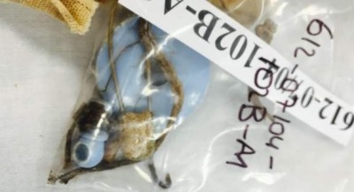 missing_babys_occupy_thrown_in_mass_grave_400 missing_babys_occupy_thrown_in_mass_grave_400
