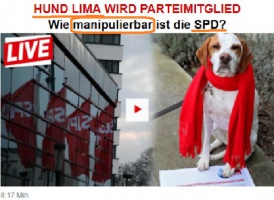 newspaper_bild_on_dog_lima_as_psd_member__manipulations_bildeurofora_screenshot_400