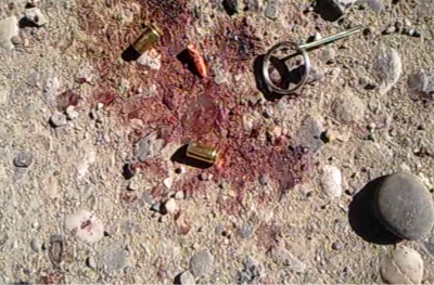 orenc_killing_turkey_bullets__blood_clear_400