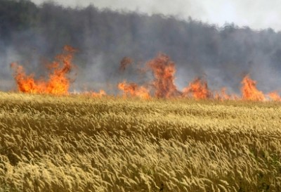 russia_burning_wheat_fields_400.jpg