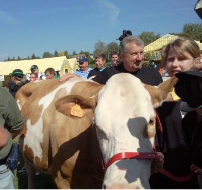 swiss_cow_400 swiss_cow_400