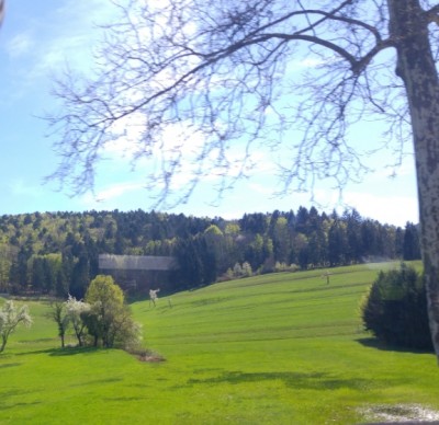 towards_vosges_mountains_for_macrons_1st_eu_citizens_consultation__landscape_eurofora_400