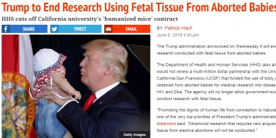 trump_stops_rst_on_aborted_babies_parts_400