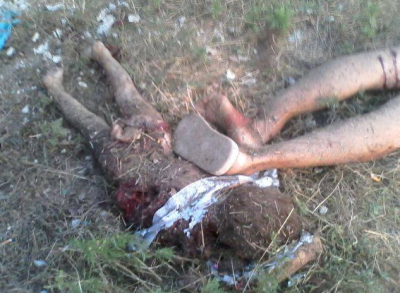 ukran_children_killed_during_kievs_military_attacks_against_dissident_regions_pub._19.8.2014_400 ukran_children_killed_during_kievs_military_attacks_against_dissident_regions_pub._19.8.2014_400