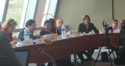 uno_representative_fopr_idisplaced_persobns_speaking_at_coe_assemblys_competent_committee_eurofora_400 uno_representative_fopr_idisplaced_persobns_speaking_at_coe_assemblys_competent_committee_eurofora_400
