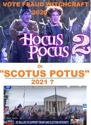 us_elec_fraud__hocus_pocus_or_scotus_potus_2021_walt_disney_movie__eurofora_patchwork_400_02