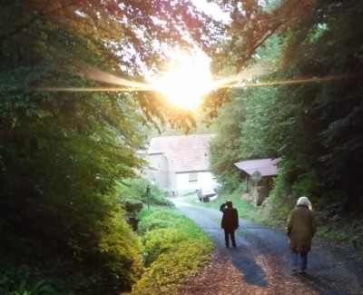 vosges_mountain_forest_sunlight__house_with_humans_eurofora_400