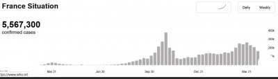 who_virus_infections_france_may_2021_400