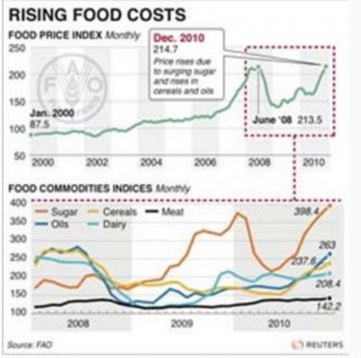 world_food_prices_up_in_2008__2010_fao_400 world_food_prices_up_in_2008__2010_fao_400