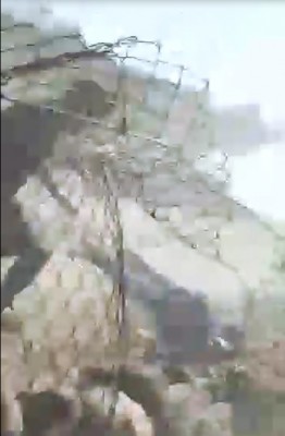 x_runs_to_help_the_hit_and_fallen_protestor_obs._av__ef_shot_400 x_runs_to_help_the_hit_and_fallen_protestor_obs._av__ef_shot_400